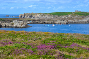Fuir la canicule en Bretagne : pourquoi Ouessant est l’île parfaite cet été