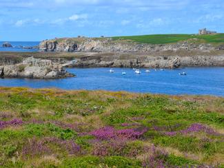 Fuir la canicule en Bretagne : pourquoi...