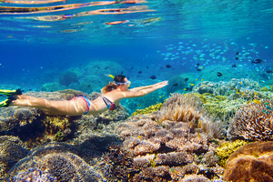 Snorkeling en Europe : ces spots où les fonds marins valent le voyage