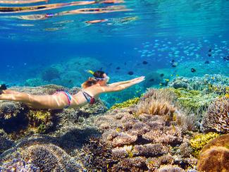 Snorkeling en Europe : ces spots où les fonds...