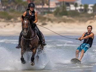 Horse surfing : quand le cheval remplace le...