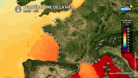 Température de la mer dimanche Température de la mer dimanche