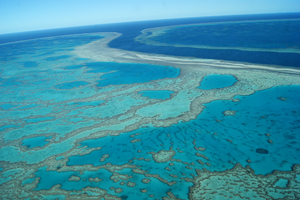 Australie: la Grande Barrière de corail pas 