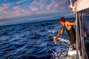 Pêche en mer : 5 techniques simples pour débuter cet été