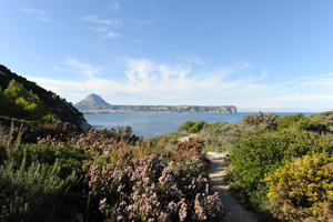 Réserve marine du Cap San Antonio : ce que la réglementation impose aux plaisanciers