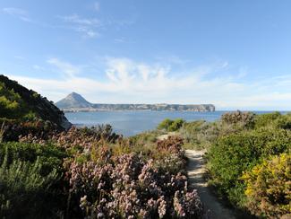 Réserve marine du Cap San Antonio : ce que la...