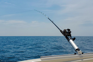 Pêche de loisir : 5 poissons à ne pas garder si vous les remontez cet été