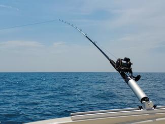 Pêche de loisir : 5 poissons à ne pas garder...