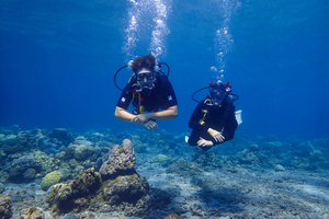 5 spots de plongée mythiques en Méditerranée à faire une fois dans sa vie