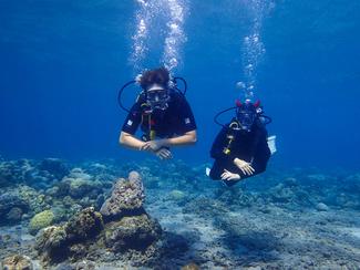 5 spots de plongée mythiques en Méditerranée à...