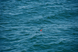 La pêche au bouchon, une technique simple et pleine de surprises