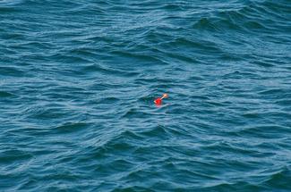 La pêche au bouchon, une technique simple et pleine de surprises