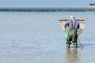 Pêche à la crevette : la sortie familiale idéale pour découvrir l’estran...