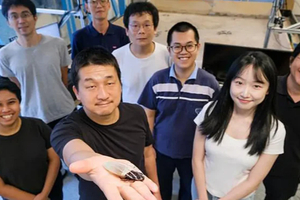 Des cafards cyborgs équipés d’une combinaison pour explorer sous l’eau