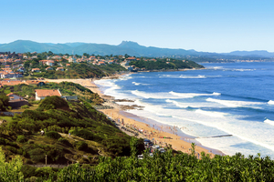 Une microalgue tropicale gagne du terrain sur la côte basque : faut-il s'inquiéter ?