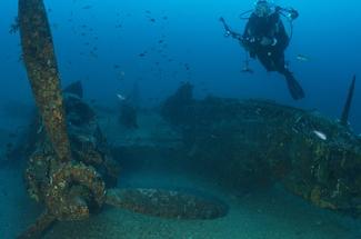 Herbier de posidonie et patrimoine culturel maritime : même combat ?
