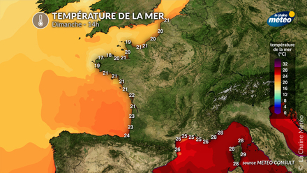 Température de la mer dimanche