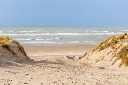 Les dunes du Touquet-Paris-Plage