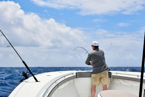 Pêche à soutenir : les bons réflexes pour réussir ses premières sorties