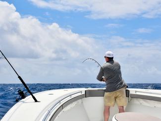 Pêche à soutenir : les bons réflexes pour...