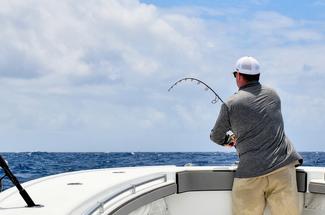 Pêche à soutenir : les bons réflexes pour réussir ses premières sorties