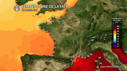 Température de la mer