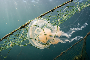 Cagnes-sur-Mer : une zone de baignade protégée pour profiter de la mer en toute sérénité