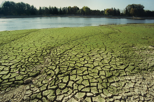 France : les petits cours d'eau vivent une sécheresse 