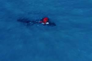Une mystérieuse traînée rouge derrière une baleine intrigue les scientifiques : une scène inédite filmée par drone