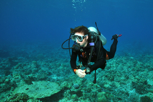 Certification PADI vs FFESSM : quelles différences pour progresser en plongée ?