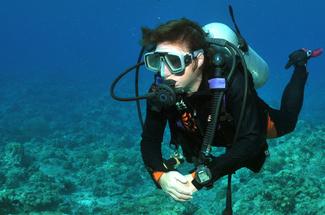 Certification PADI vs FFESSM : quelles différences pour progresser en pl...