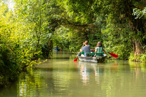 Les Deux-Sèvres et le Marais poitevin : cet été, embarquez au cœur de la « Venise verte »