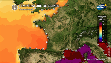 Température de la mer