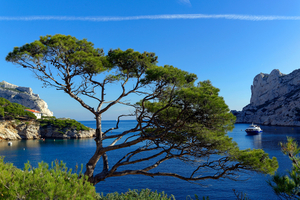 À Marseille, ce musée insolite se visite en apnée sous la Méditerranée