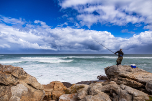 En août, le rockfishing met les ports à portée de canne