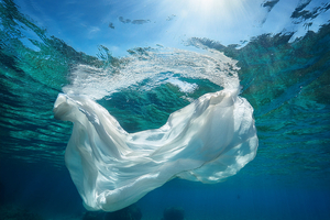 La soie marine, ce fil d’or autrefois tiré d’un coquillage méditerranéen