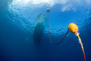 Ancres virtuelles : protègent-elles vraiment les fonds marins ?