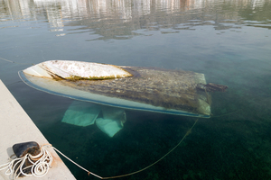 Déconstruction des bateaux de plaisance : la France face au défi du recyclage