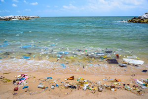 Le « septième continent » de plastique existe-t-il vraiment ?