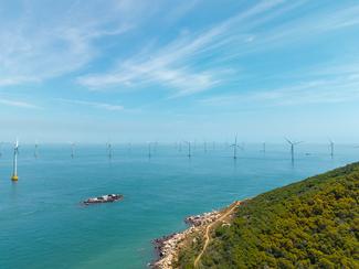 Éoliennes en mer : comment pêcheurs et...
