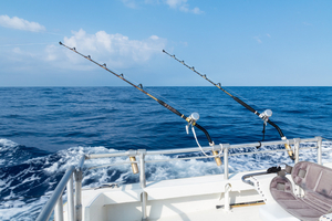 Pêche en mer : ces poissons qui retrouvent de l'appétit quand l'eau refroidit en septembre