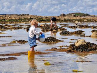 Pêche à pied en septembre : coquillages et...