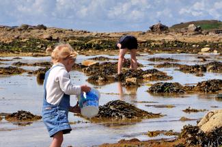 Pêche à pied en septembre : coquillages et crustacés, que peut-on encore...