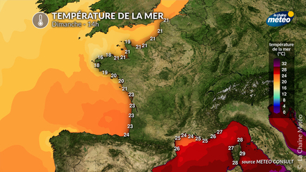 Température de la mer