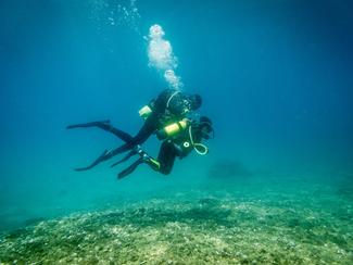 Handisub : comment la plongée s’ouvre aux...