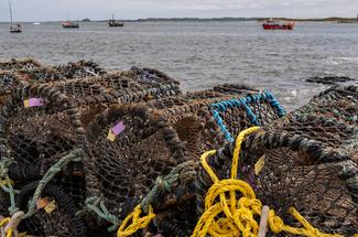 Pêche aux nasses à crabes : une activité douce et familiale accessible