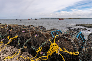 Pêche aux nasses à crabes : une activité douce et familiale accessible