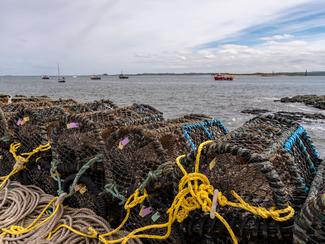Pêche aux nasses à crabes : une activité douce...