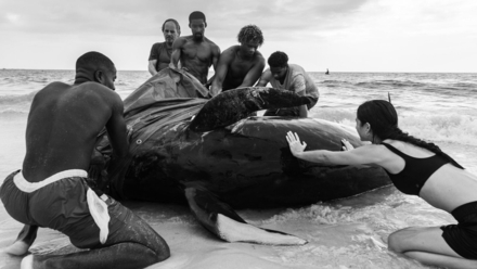 Catégorie Human Connection - Rui Duarte - Boa Vista, Cape Verde