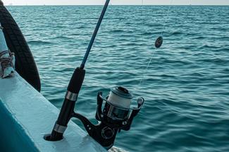 La pêche au vif la technique ancestrale qui piège encore les plus gros p...